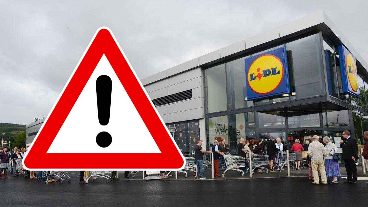 Lidl : Attention! Ces produits alimentaires doivent être ramenés en urgence, ils contiennent du chanvre trop élevé en THC